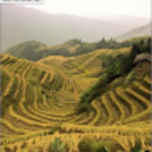 Meet your Posher, Tal